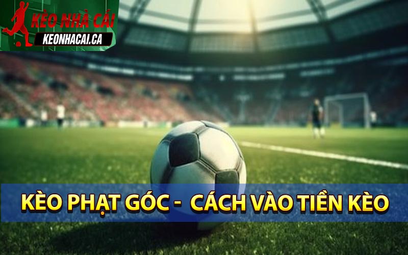 Kèo phạt góc dễ chơi dễ thắng